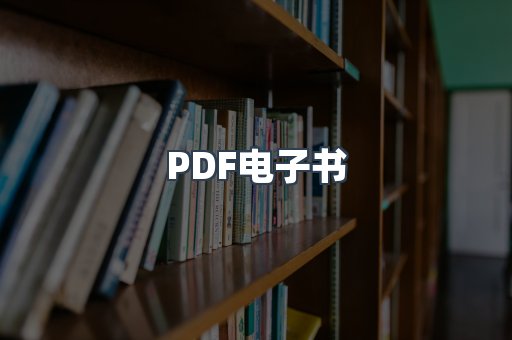 PDF电子书